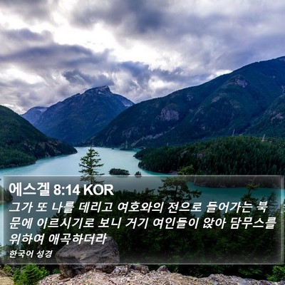 에스겔 8:14 KOR Bible Verse Image