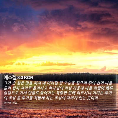 에스겔 8:3 KOR Bible Verse Image