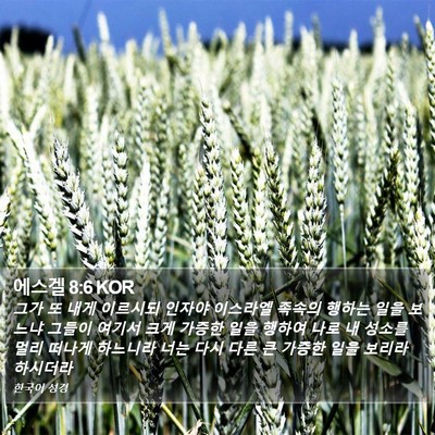 에스겔 8:6 KOR Bible Verse Image