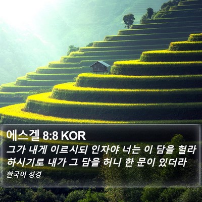 에스겔 8:8 KOR Bible Verse Image