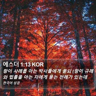에스더 1:13 KOR Bible Verse Image