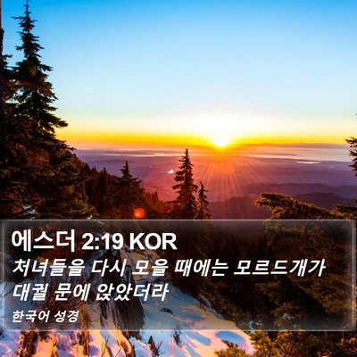 에스더 2:19 KOR Bible Verse Image