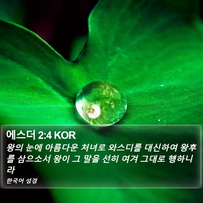 에스더 2:4 KOR Bible Verse Image