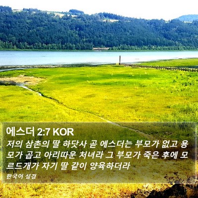 에스더 2:7 KOR Bible Verse Image