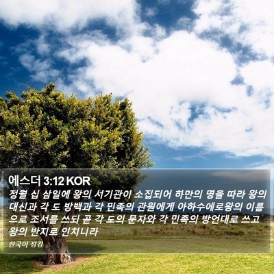 에스더 3:12 KOR Bible Verse Image