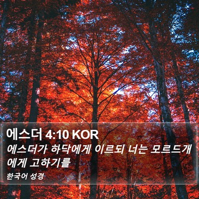 에스더 4:10 KOR Bible Verse Image