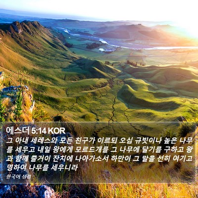 에스더 5:14 KOR Bible Verse Image