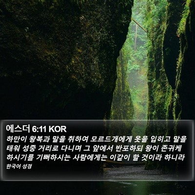 에스더 6:11 KOR Bible Verse Image