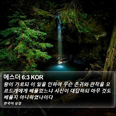 에스더 6:3 KOR Bible Verse Image