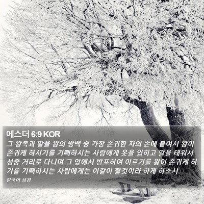 에스더 6:9 KOR Bible Verse Image