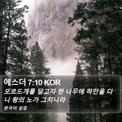 에스더 7:10 KOR Bible Verse Image