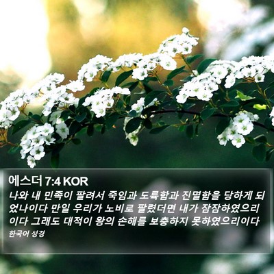 에스더 7:4 KOR Bible Verse Image