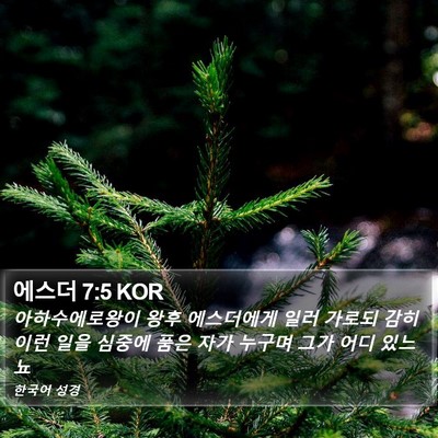 에스더 7:5 KOR Bible Verse Image
