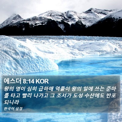에스더 8:14 KOR Bible Verse Image