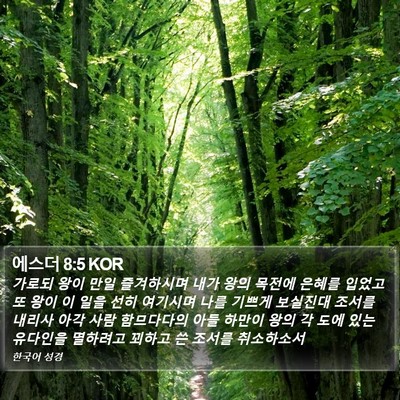 에스더 8:5 KOR Bible Verse Image