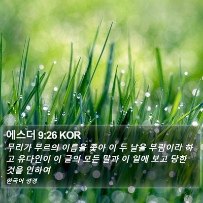 에스더 9:26 KOR Bible Verse Image