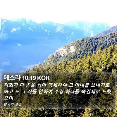 에스라 10:19 KOR Bible Verse Image