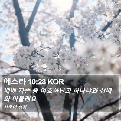 에스라 10:28 KOR Bible Verse Image