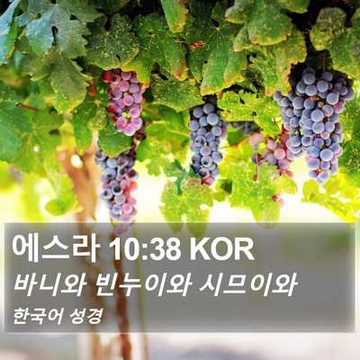 에스라 10:38 KOR Bible Verse Image