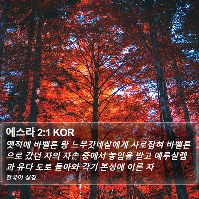 에스라 2:1 KOR Bible Verse Image