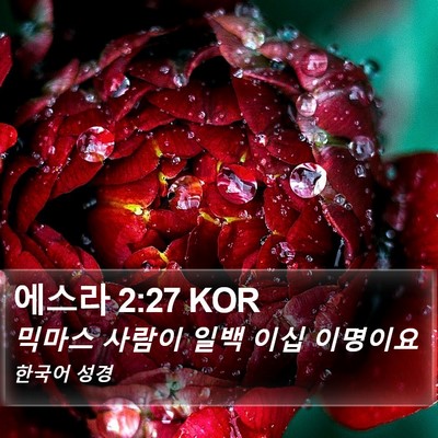 에스라 2:27 KOR Bible Verse Image