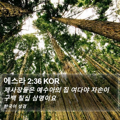 에스라 2:36 KOR Bible Verse Image