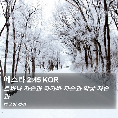 에스라 2:45 KOR Bible Verse Image