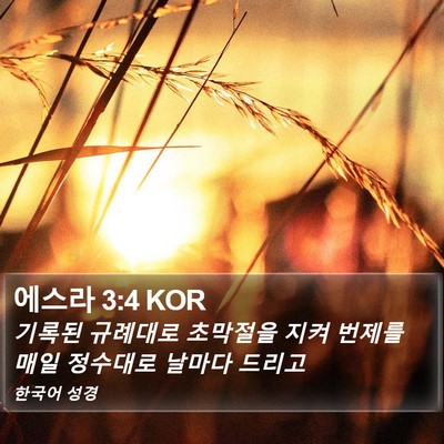 에스라 3:4 KOR Bible Verse Image