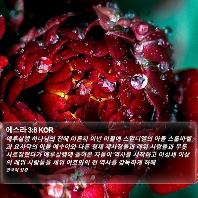 에스라 3:8 KOR Bible Verse Image