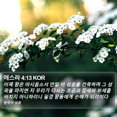 에스라 4:13 KOR Bible Verse Image