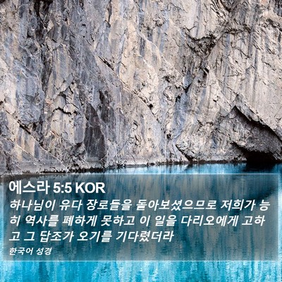 에스라 5:5 KOR Bible Verse Image
