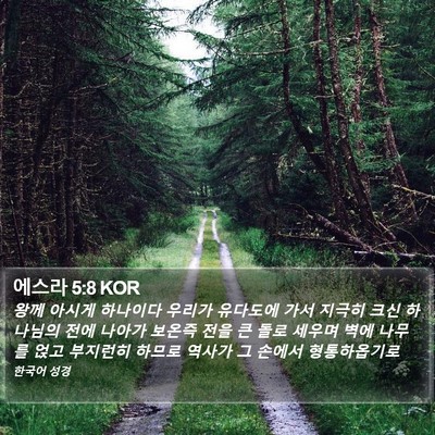 에스라 5:8 KOR Bible Verse Image