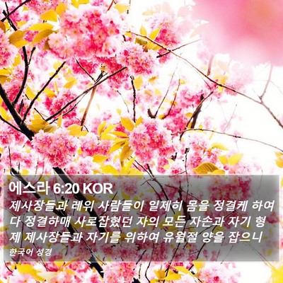 에스라 6:20 KOR Bible Verse Image