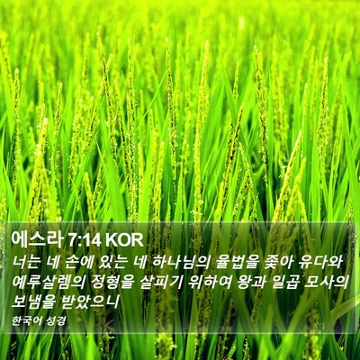 에스라 7:14 KOR Bible Verse Image
