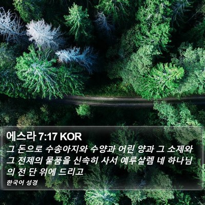 에스라 7:17 KOR Bible Verse Image