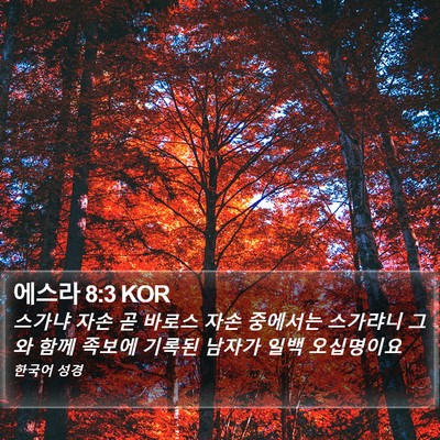에스라 8:3 KOR Bible Verse Image