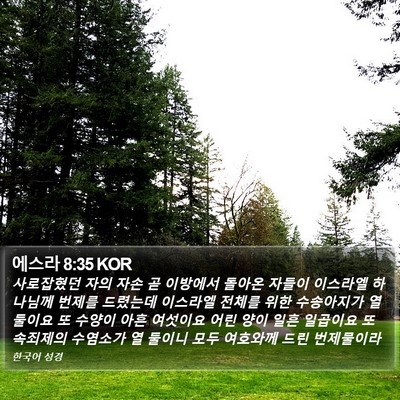 에스라 8:35 KOR Bible Verse Image