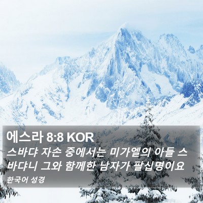 에스라 8:8 KOR Bible Verse Image