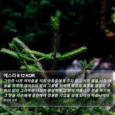 에스라 9:12 KOR Bible Verse Image