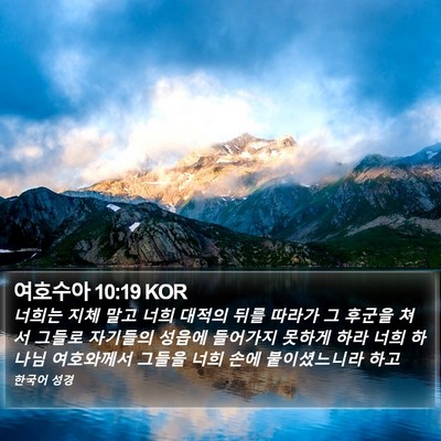 여호수아 10:19 KOR Bible Verse Image