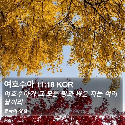 여호수아 11:18 KOR Bible Verse Image