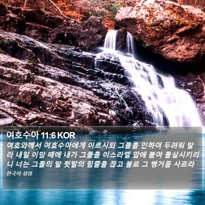 여호수아 11:6 KOR Bible Verse Image