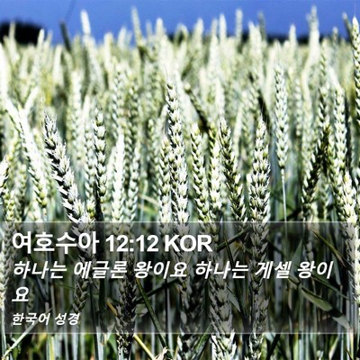 여호수아 12:12 KOR Bible Verse Image