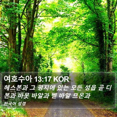 여호수아 13:17 KOR Bible Verse Image