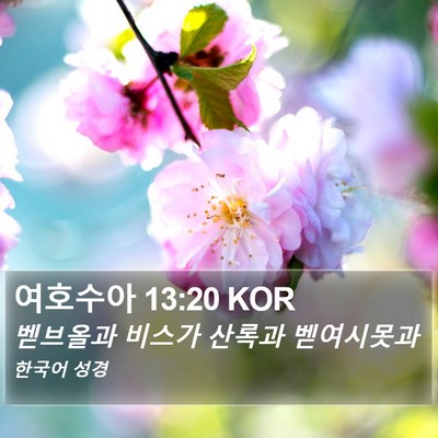 여호수아 13:20 KOR Bible Verse Image