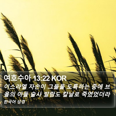 여호수아 13:22 KOR Bible Verse Image