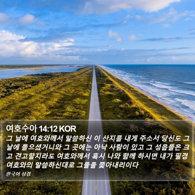 여호수아 14:12 KOR Bible Verse Image