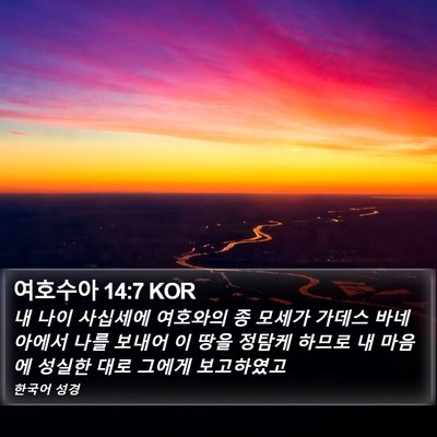 여호수아 14:7 KOR Bible Verse Image