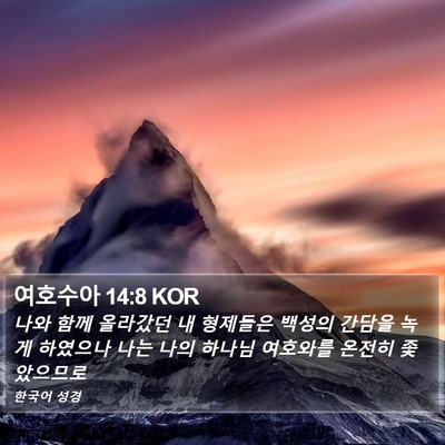 여호수아 14:8 KOR Bible Verse Image