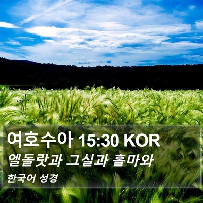 여호수아 15:30 KOR Bible Verse Image
